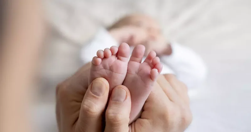 Fatih te kan donduran olay! 2 aylık bebeği açlıktan öldürdüler: Tüm aile gözaltında