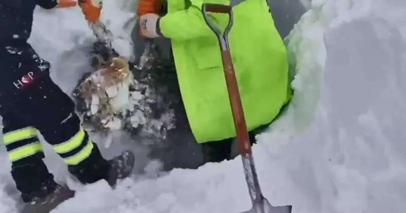 Artvin’de çığ bölgesinde arama kurtarma çalışmaları ikinci günde yeniden başladı