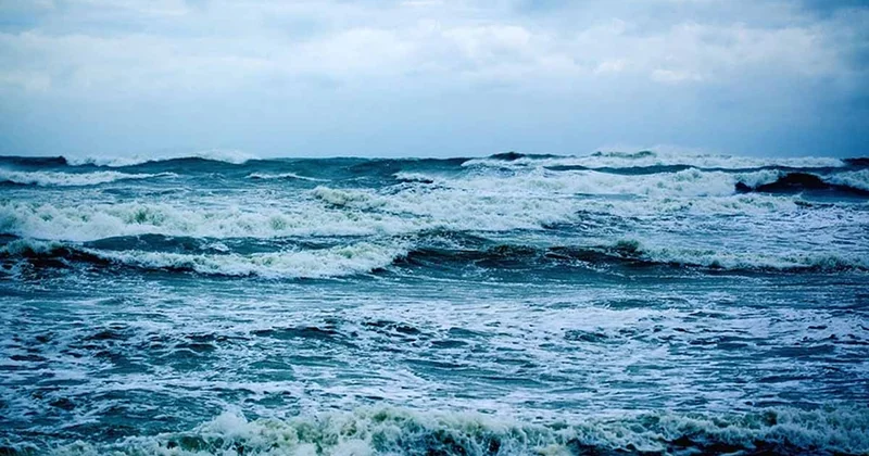 Okyanusların rengi değişecek! Deniz ekolojisti yeni rengi açıkladı Sözcü Gazetesi