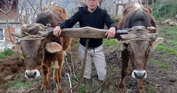 Aydın haberleri Aydın da aile içi cinayet: Av tüfeğiyle öldürdü 01 Ocak 2026