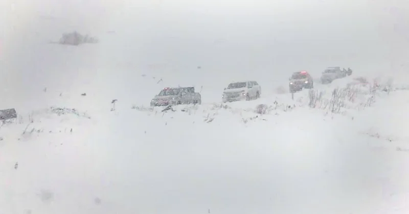 2 bin 300 rakımda can pazarı... 3 çobanın üstüne çığ düştü