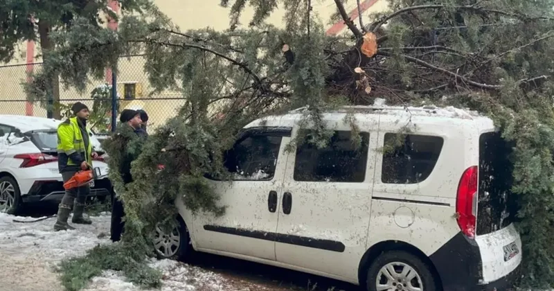 Kökünden sökülen ağaç park halindeki aracın üzerine devrildi