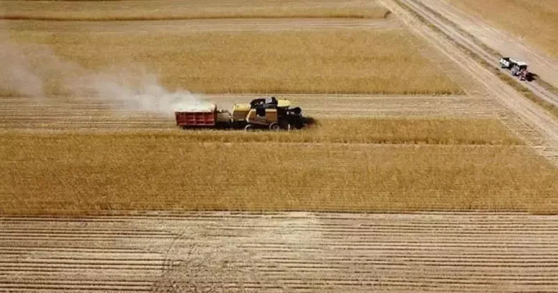 Kırsal kalkınma desteklerinde hibe oranları yüzde 70 e yükseltildi