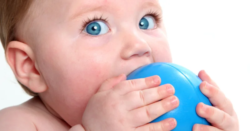 Küçük eller, büyük keşif: Bebekler neden her şeyi ağzına götürür?