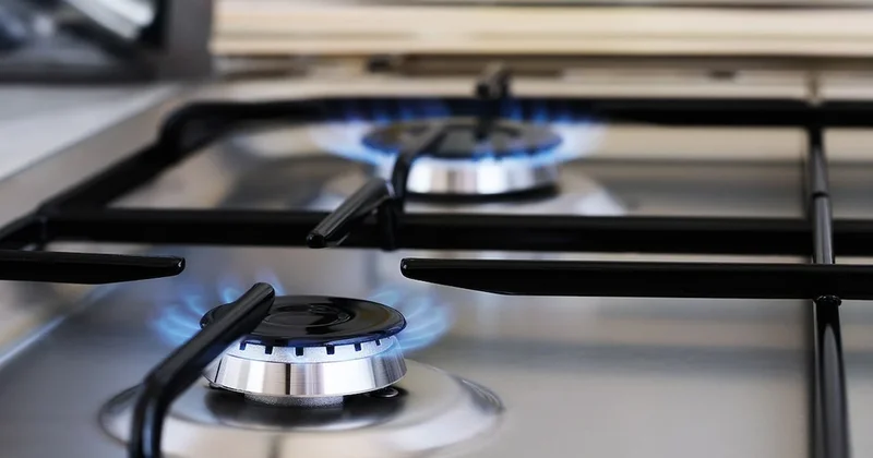 50 yıl boyunca bu gerçeği hepimizden gizlemişler Sözcü Gazetesi