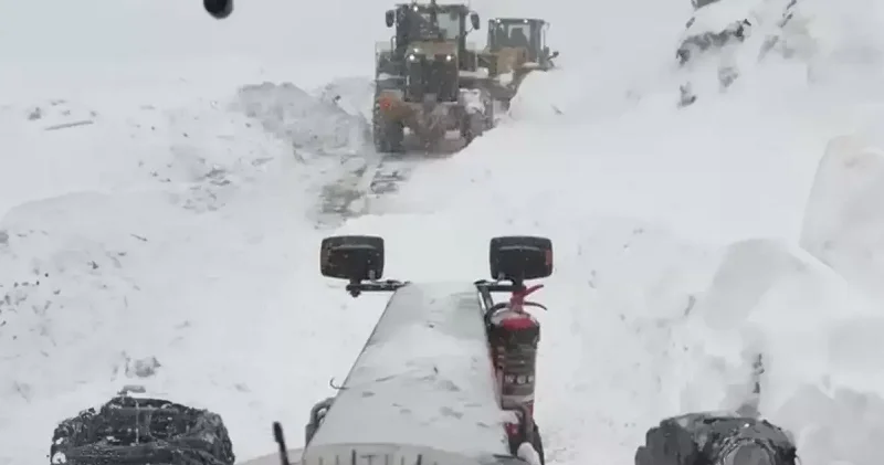 Artvin de çığ 3 çobanı yuttu Gündem Haberleri