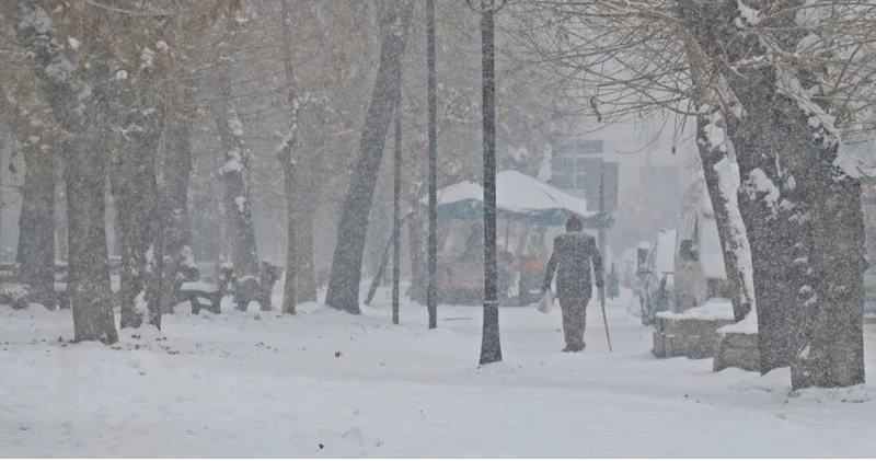 DEM Parti Diyarbakır mitingi ertelendi Son dakika haberleri