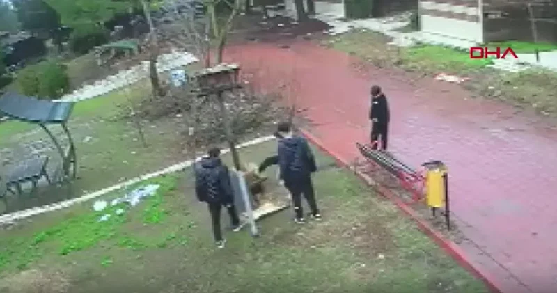 Parkta düşürdükleri kuş yuvasını parçaladılar