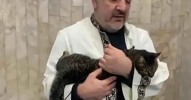 Yürek ısıtan görüntüler: Kedi Kur’an tilaveti sırasında imamın kucağında usulca durdu VİDEO İZLE