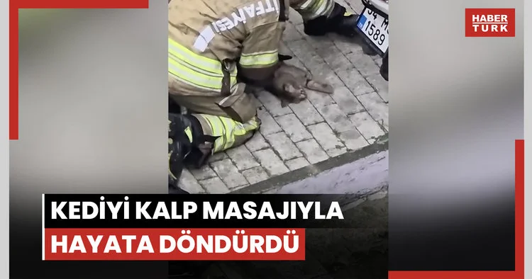 İtfaiye ekibi yangından kurtardığı kediyi kalp masajıyla hayata döndürdü