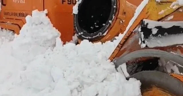 Karayolları kar savurma aracına çığ düştü, operatör sağ kurtarıldı Muş Haberleri