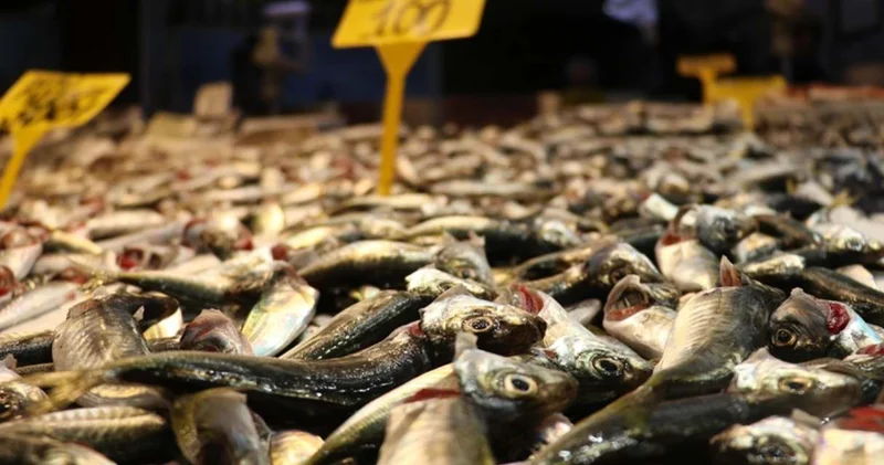 Kilosu 100 liradan kapış kapış satılıyor: Yoğun rağbet var