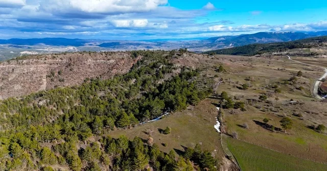 Karlar eridi, yaylalar yeşile bürünmeye başladı Kastamonu Haberleri