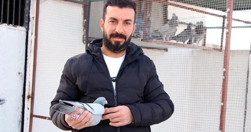 Manevi değeri yüksek bu kuşu yakalayıp getirene 75 bin TL verilecek Sözcü Gazetesi