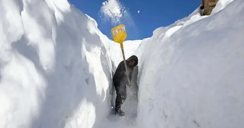 Isınan dünyada neden bu kadar çok kar yağıyor?