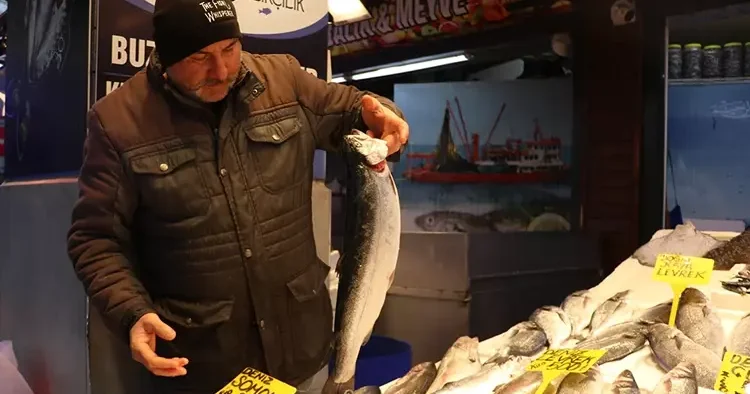 Tezgahlarda fiyatlar değişti! İşte en ucuz balık çeşidi