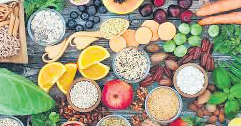 Lifli gıdalar beyni besliyor