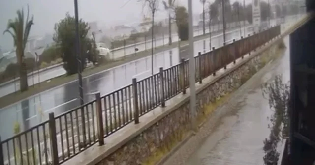 Kontrolden çıkan otomobil refüjdeki ağaca çarpıp takla attı Kaza anları güvenlik kamerasına yansıdı Antalya Haberleri