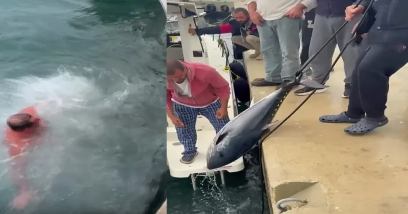 Soğuğa aldırış etmedi, suya girip orkinosu yakaladı Sözcü Gazetesi