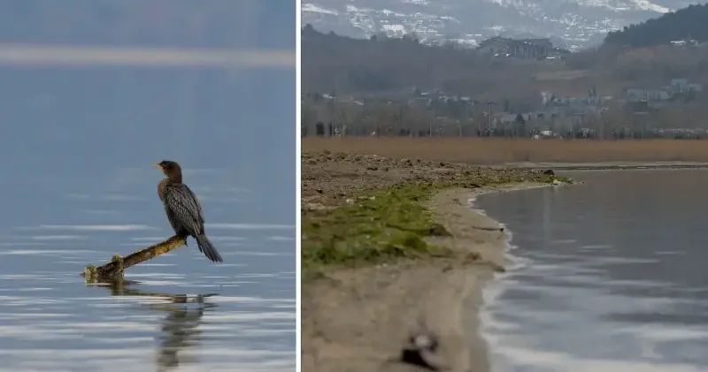 Sapanca Gölü ne alternatif kaynaklarla 3 milyon 240 bin metreküplük su takviyesi yapılacak Sakarya Haberleri