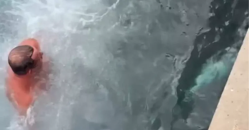 Balıkçı soğukta orkinosu kurtardı