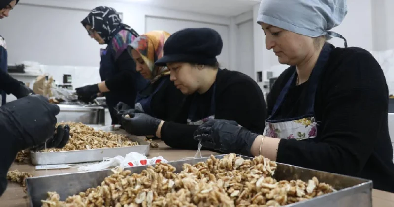 KOSGEB, 53 bin KOBİ ye destek verecek