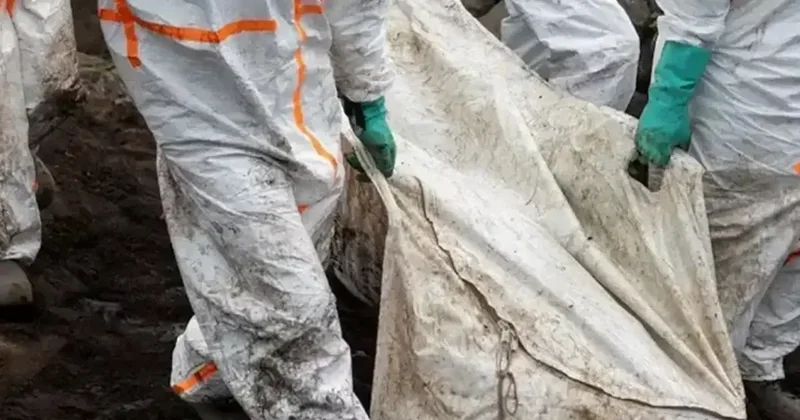 Nijerya da 105 Ceset Bulundu