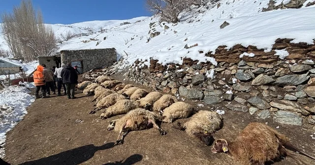 Ahırda çıkan yangında 67 küçükbaş ile 1 inek öldü Van Haberleri
