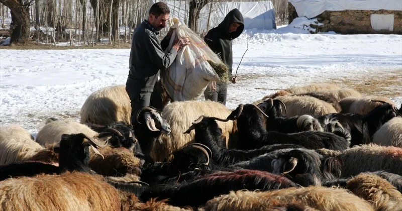 Yerel Kalkınma Hamlesi başvuruları yarın başlıyor