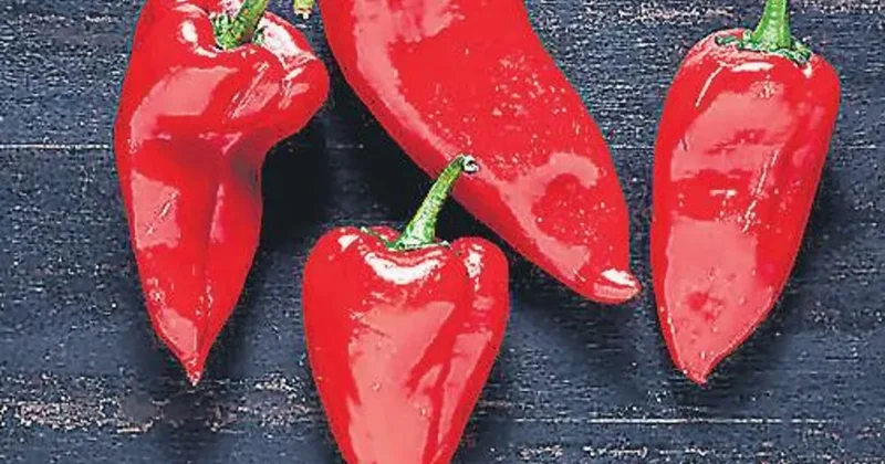 Sağlık için biberi tabağınızdan eksik etmeyin