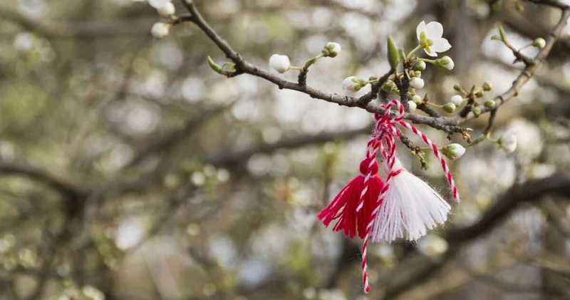 Marteniçka nedir? Marteniçka hikayesi nedir?