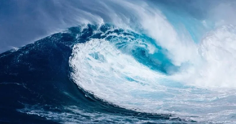 Efsaneydi gerçek oldu: Okyanusta 30 metrelik dev, gören hemen kaşıyor Sözcü Gazetesi