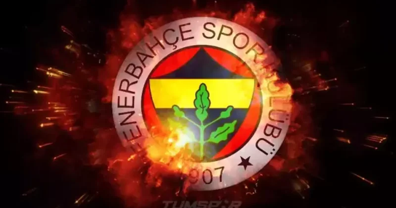 Fenerbahçe nin yıldızı milli takım kampında sakatlandı