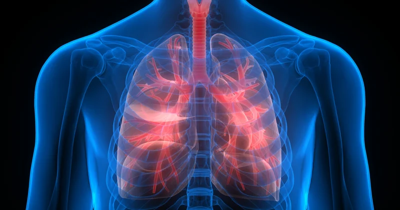 Bir nargile seansında 100 sigara dumanı solunuyor Sağlık Haberleri