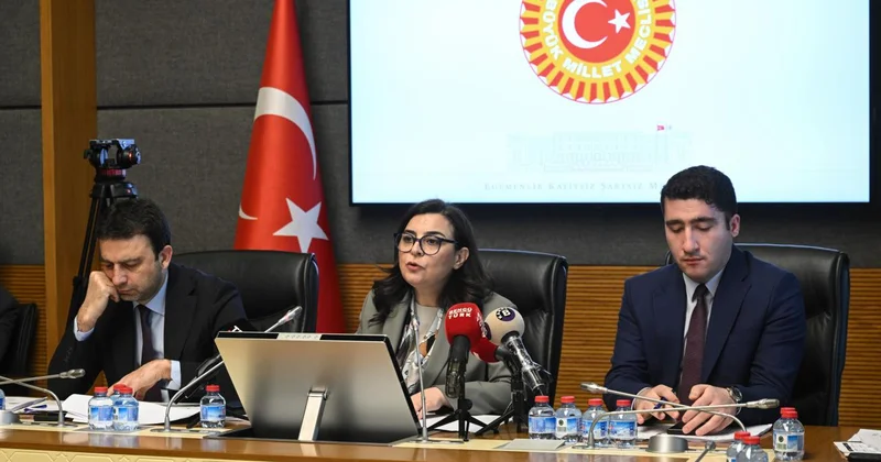 Suça sürüklenen çocuklar araştırmasının sonuçları paylaşıldı