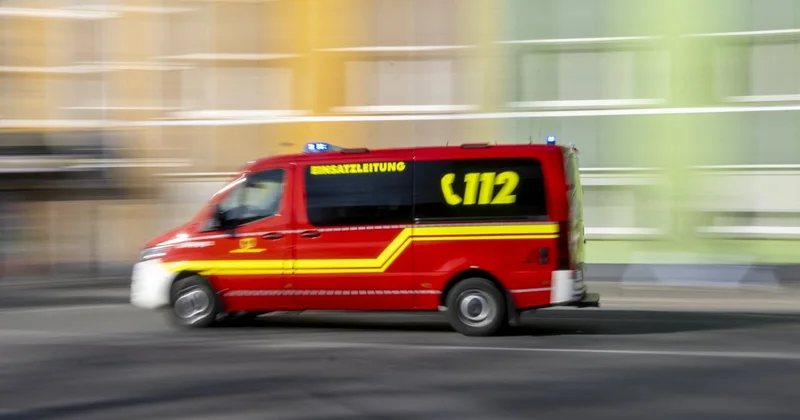 Almanya’da alışveriş pasajında bir kurt kadına saldırdı