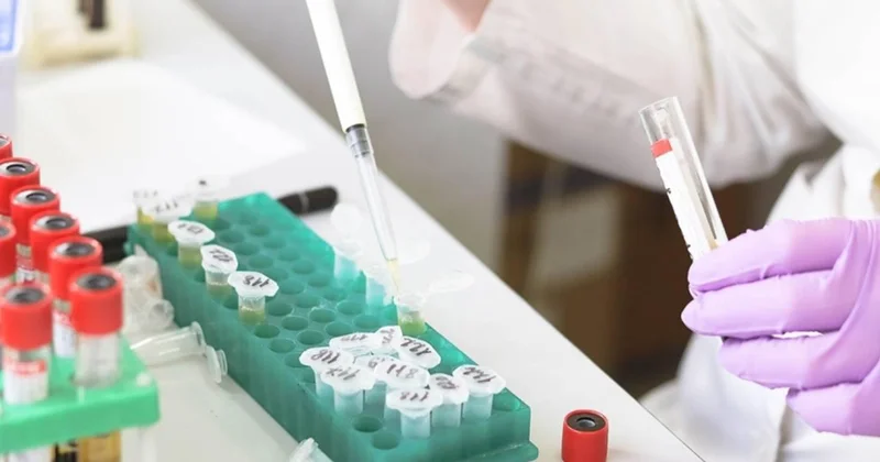 Gıda ve çevre konulu uluslararası projelere destek sağlanacak