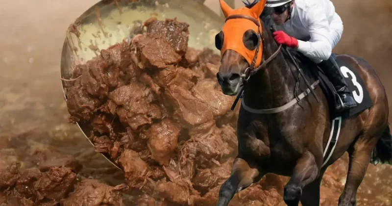 Vatandaşa yarış atı yediren firmayla ilgili yeni skandal