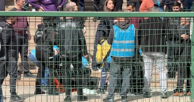 Diyarbakır Adliyesi nde boşanma davası kavgası: 4 yaralı Diyarbakır Haberleri