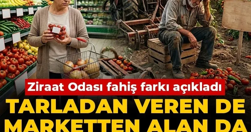 Ziraat Odası fahiş farkı açıkladı: Tarladan veren de marketten alan da zararda