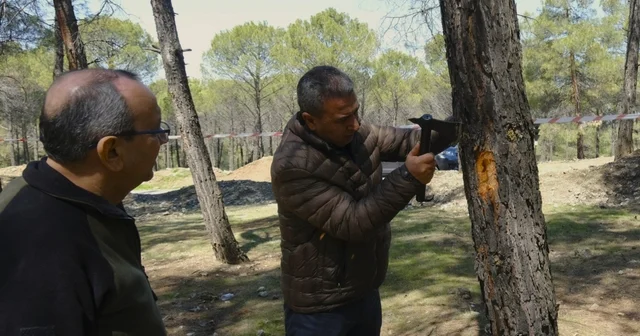 Kahramanmaraş ta orman zararlılarına karşı mücadele sahada incelendi Kahramanmaraş Haberleri