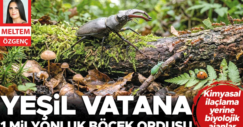 Yeşil vatana 1 milyonluk böcek ordusu