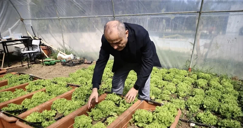 Denizden toplanan çöpten gübre ürettiler: Yetiştirilen çilek 1,5 ayda olgulaştı