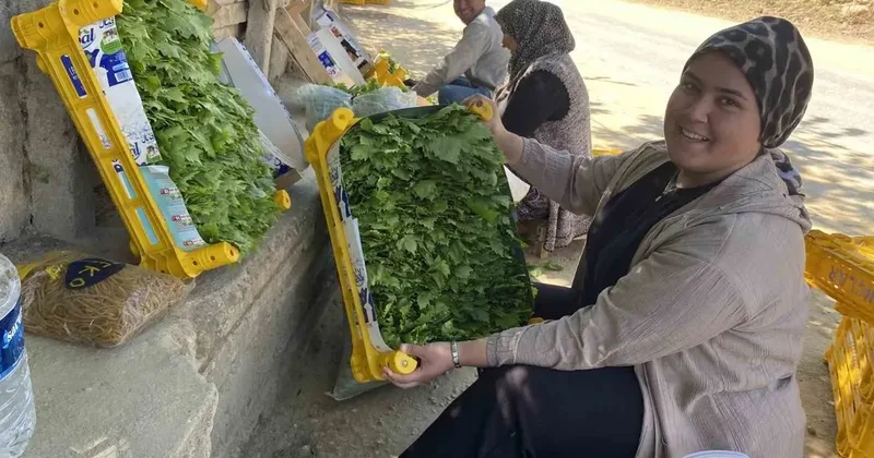 Üzümden önce yaprağı kazandırıyor