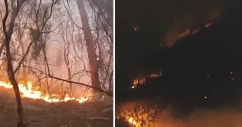 İtalya da orman yangını: 3 bin kişi tahliye edildi