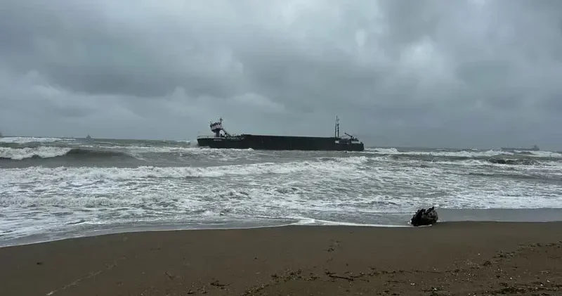 Kargo gemisi karaya oturdu