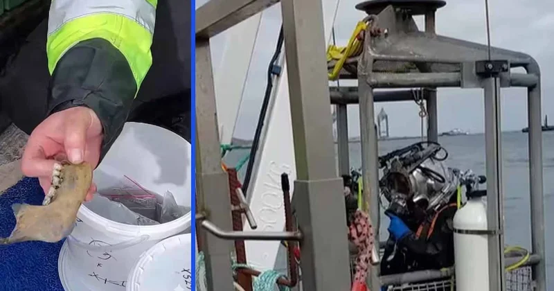 İnşaat kazısı 225 yıllık yasağı deldi: Bir çift ayakkabı tarihi yeniden yazdıracak Sözcü Gazetesi
