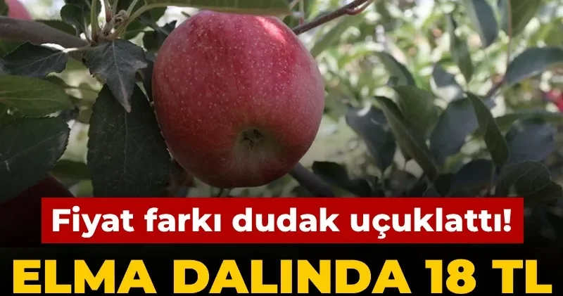 Elma dalında 18 TL markette 92 TL! Aradaki fark dudak uçuklattı