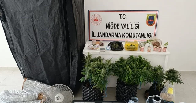 İklimlendirme sistemiyle yasa dışı ekim yapan 4 şüpheli gözaltına alındı Niğde Haberleri