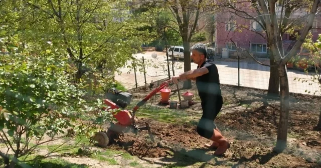 Bilecik Huzurevi nde yeşil alanlar yeniden hayat buluyor Bilecik Haberleri